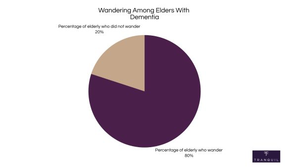 Dementia wandering statistics pie chart