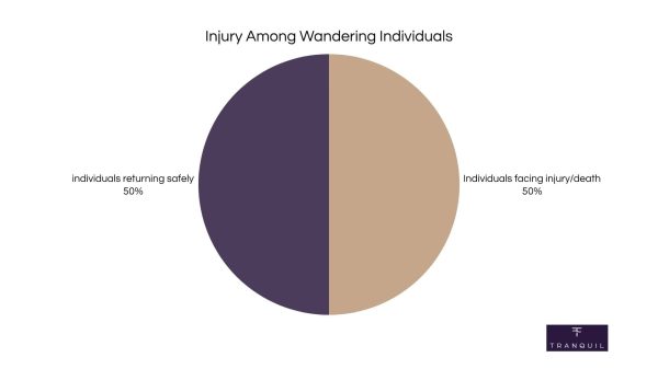 Injury among wandering individuals pie chart